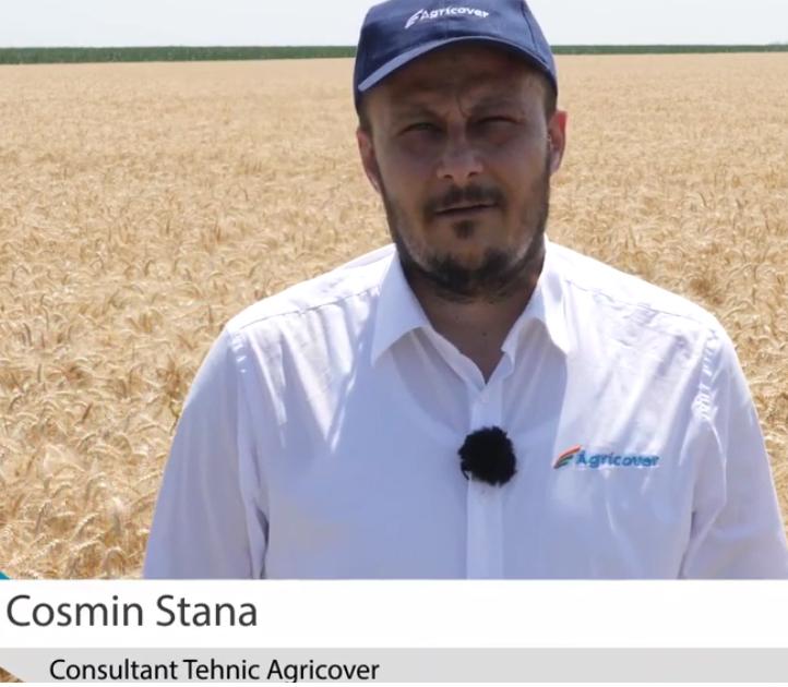Cosmin Stana, consultant tehnic Agricover, despre tratamentul aplicat într-un lot experimental de grâu